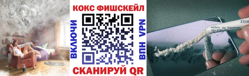 Купить  Бакал  COCAIN 99% 