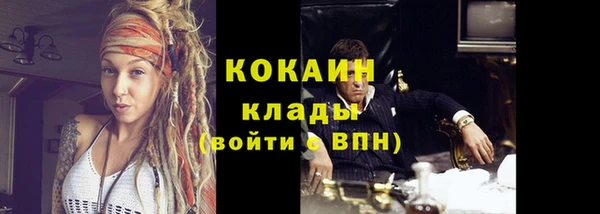 гидра Краснослободск