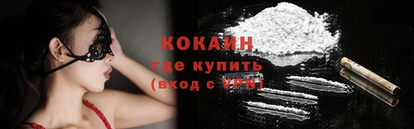 гидра Краснослободск