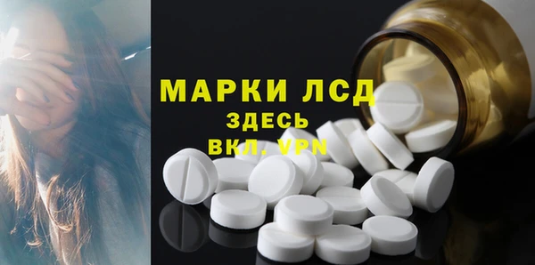 гидра Краснослободск
