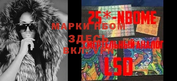 гидра Краснослободск