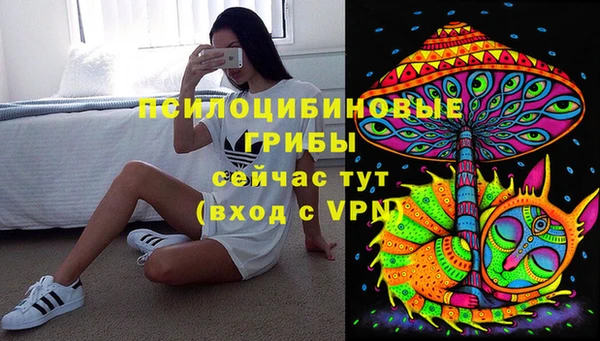 гидра Краснослободск