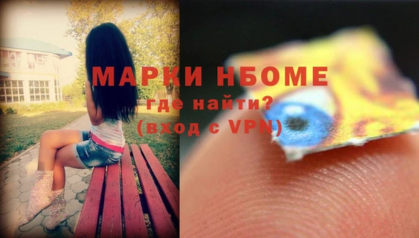 гидра Краснослободск