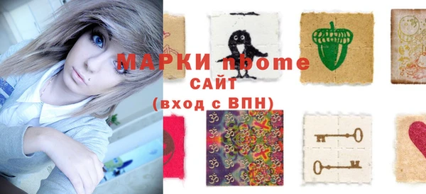 гидра Краснослободск